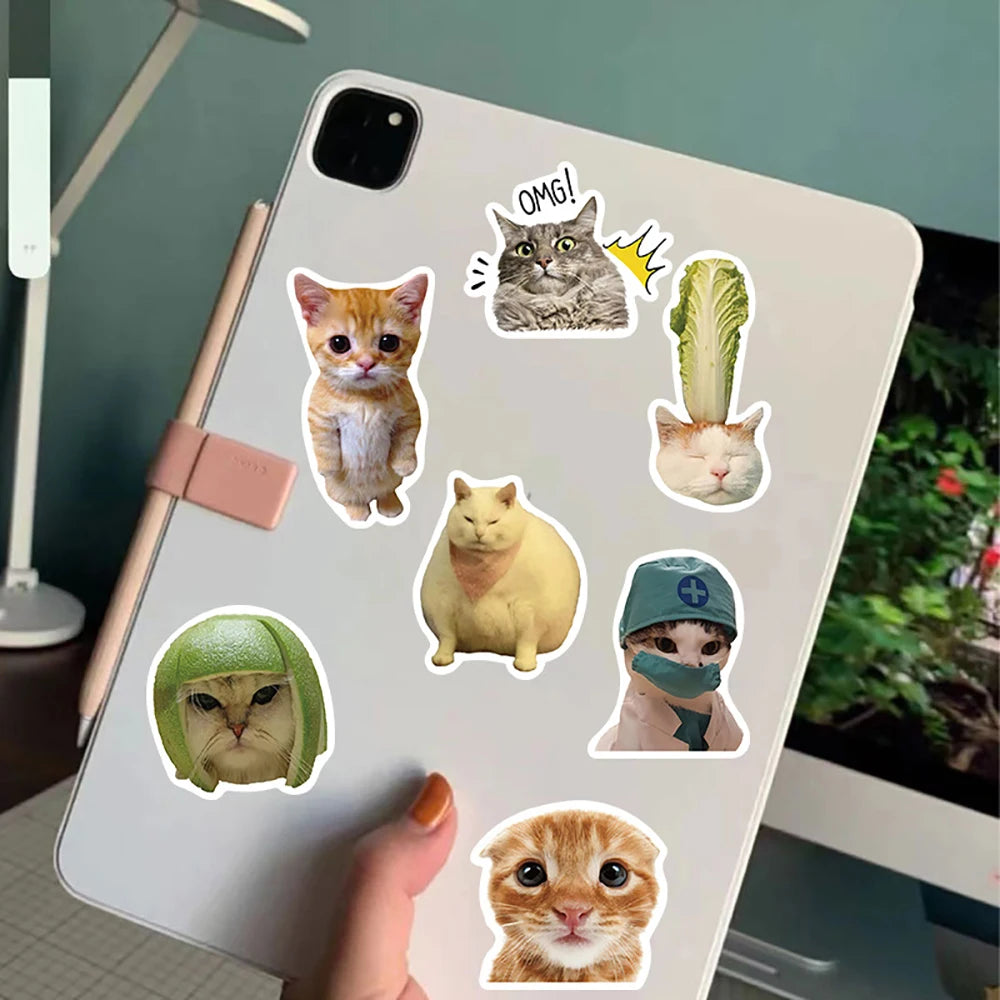 Cat stickers - 10/30/50/100pcs